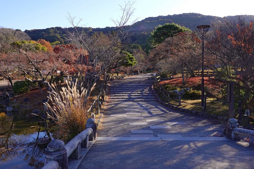 Trees and a pond in Kyoto’s Maruyama Park